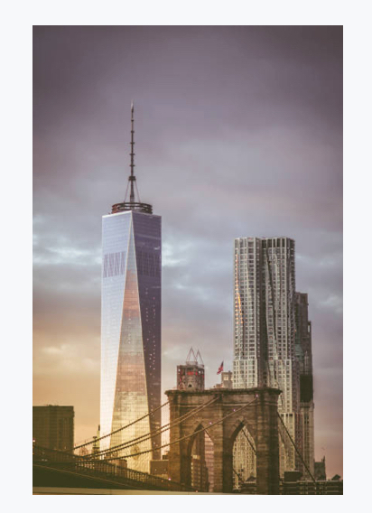 Investors & Financial Institutions